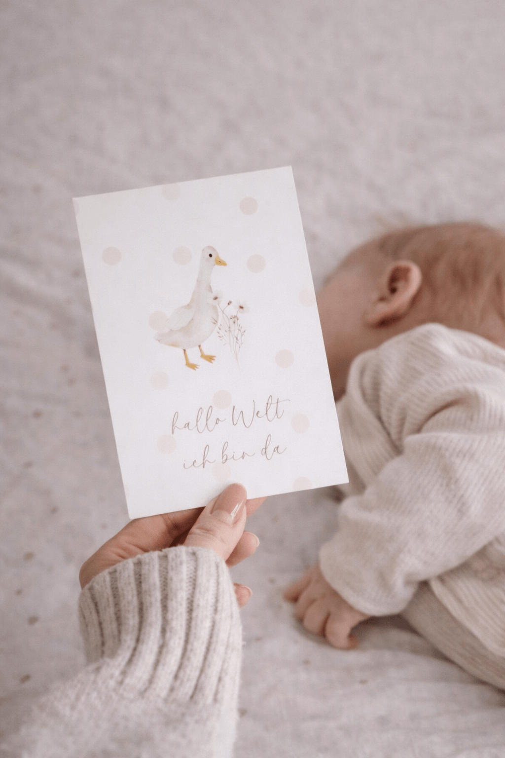 Meilensteinkarte mit Gansmotiv in der Hand gehalten vor einem Baby