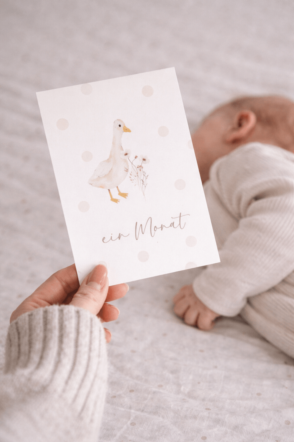 Meilensteinkarte mit Gansmotiv in der Hand gehalten vor einem Baby