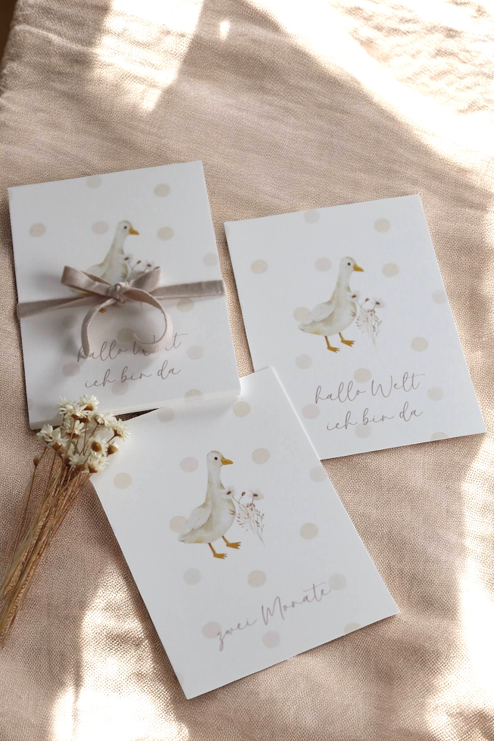 Weiße Papierkarten in Postkartenformat mit dem Aquarelldesign einer Gans auf einem beigen Leinentuch und natürlichem Sonnenlicht