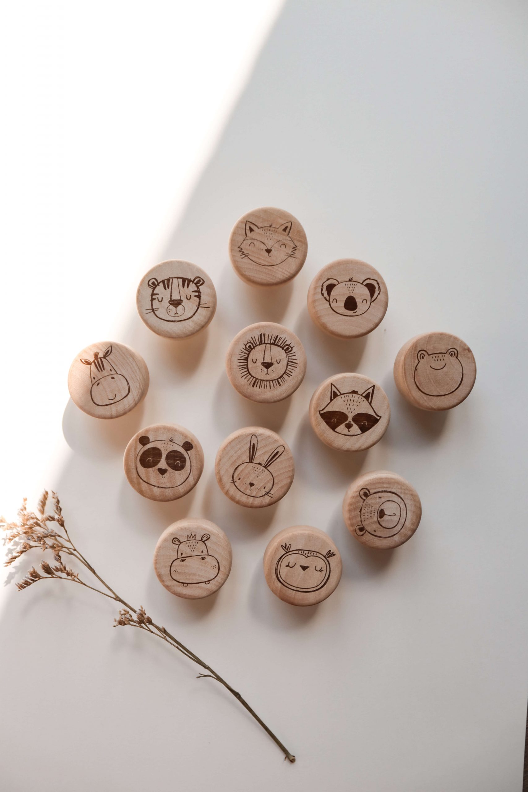 12 Helle runde Möbelknöpfe aus Holt mit verschiedenen Tiermotiven in einem minimalistischen Hintergrund mit natürlichem Sonnenlicht. Die Möbelknöpfe eignen sich perfekt für die Ikea Hemnes Kommode